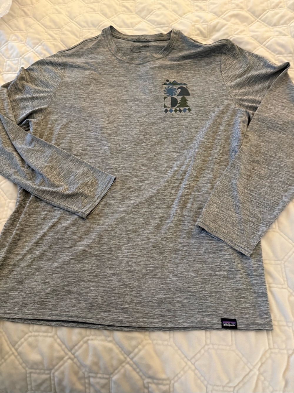 Patagonia Gray Long-Sleeve Performance Tee with Graphic